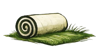 img45 45343202 removebg preview